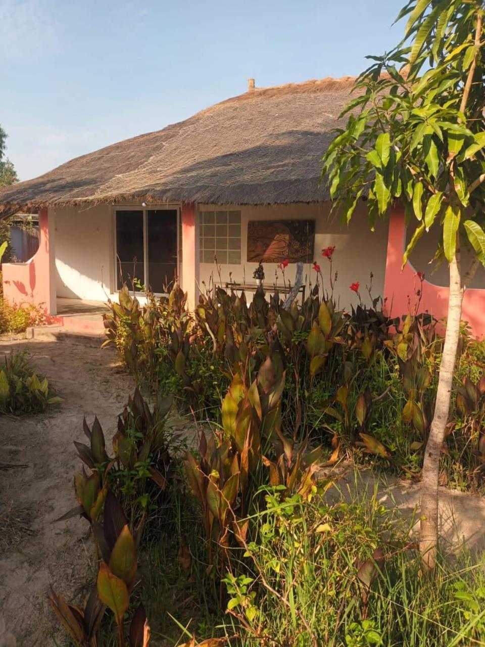 Campement Graine De Paradis Kachiouane Exterior foto